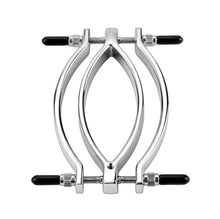 Load image into Gallery viewer, Adjustable Pussy Labia Clamps Clit Clamp Vagina Bondage BDSM Chain Set Sex Adult Toys Restraints Naughty Kinky Sub Dom Punishment
